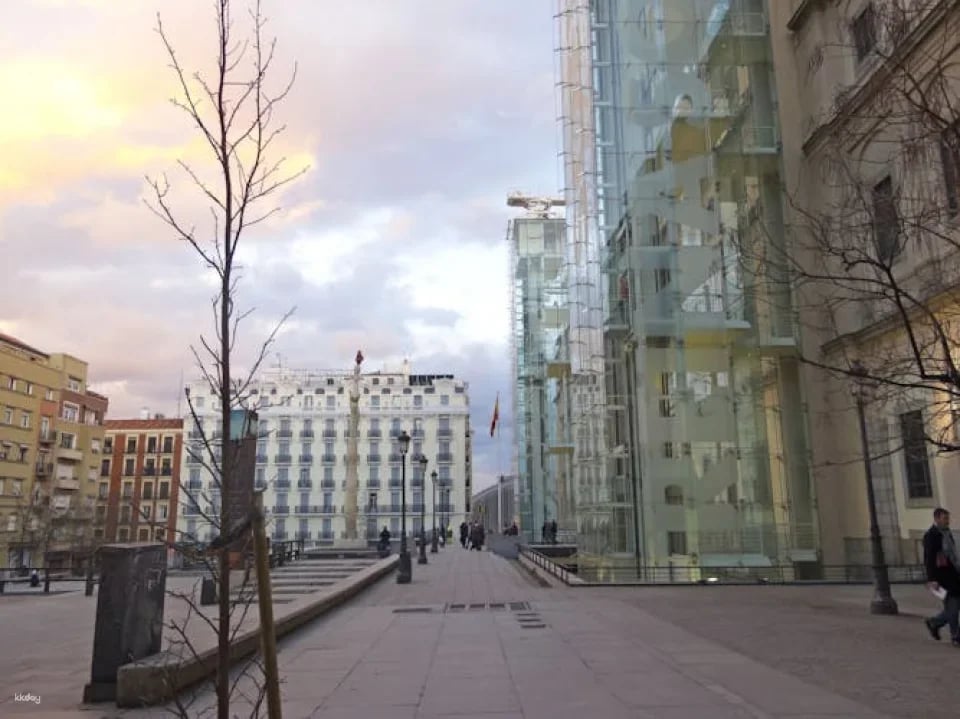 Reina Sofía Museum tickets and guided visit