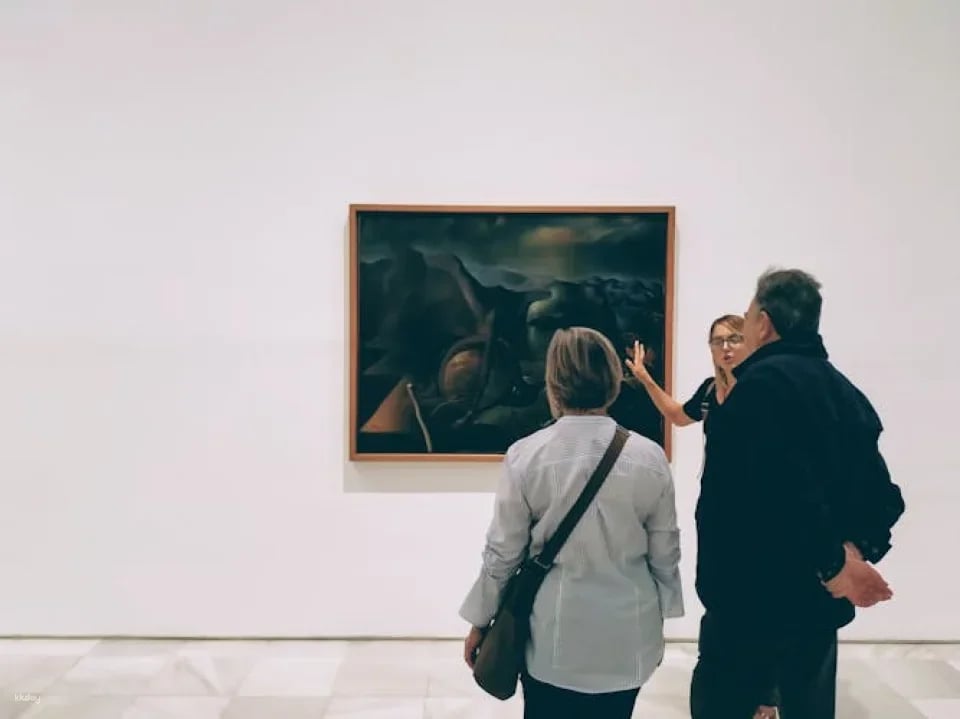 Reina Sofía Museum tickets and guided visit