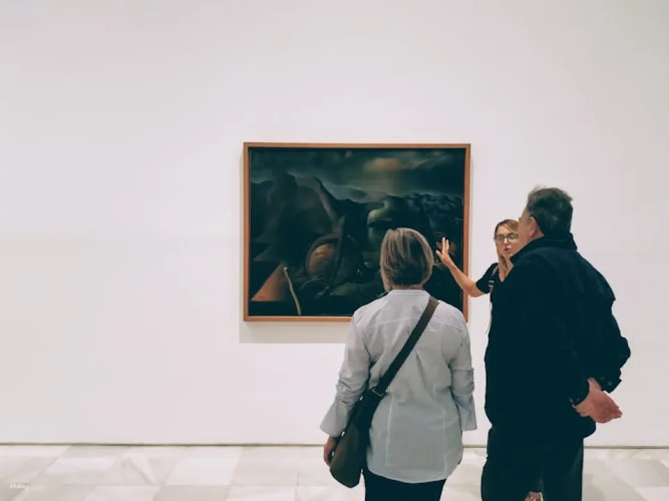 Reina Sofía Museum tickets and guided visit