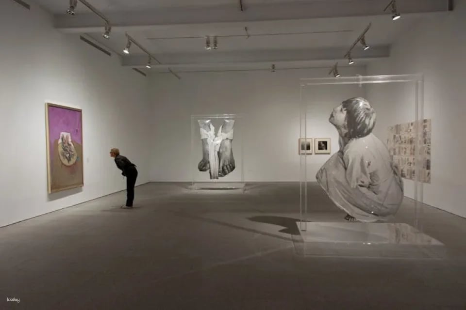 Reina Sofía Museum tickets and guided visit