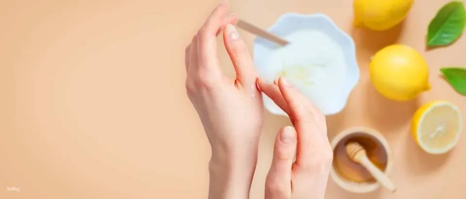 Yilan Fungus Museum｜DIY Experience Package