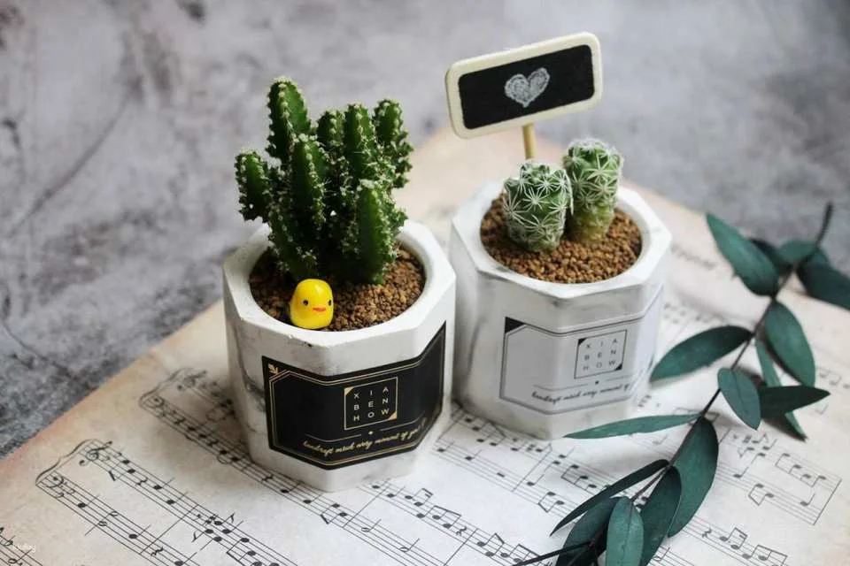 Taipei | DIY material kit for making after work | Candles ∙ Diffusing stones ∙ Handmade soap ∙ Succulent plant series | Shipping to Taiwan