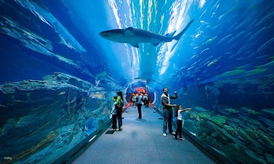 Dubai Deluxe Supersaver City Pass