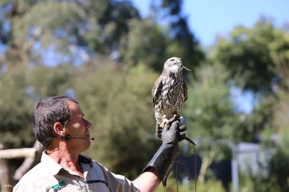 [Eco Tour] Melbourne Healesville Sanctuary: Admission Ticket | Australia