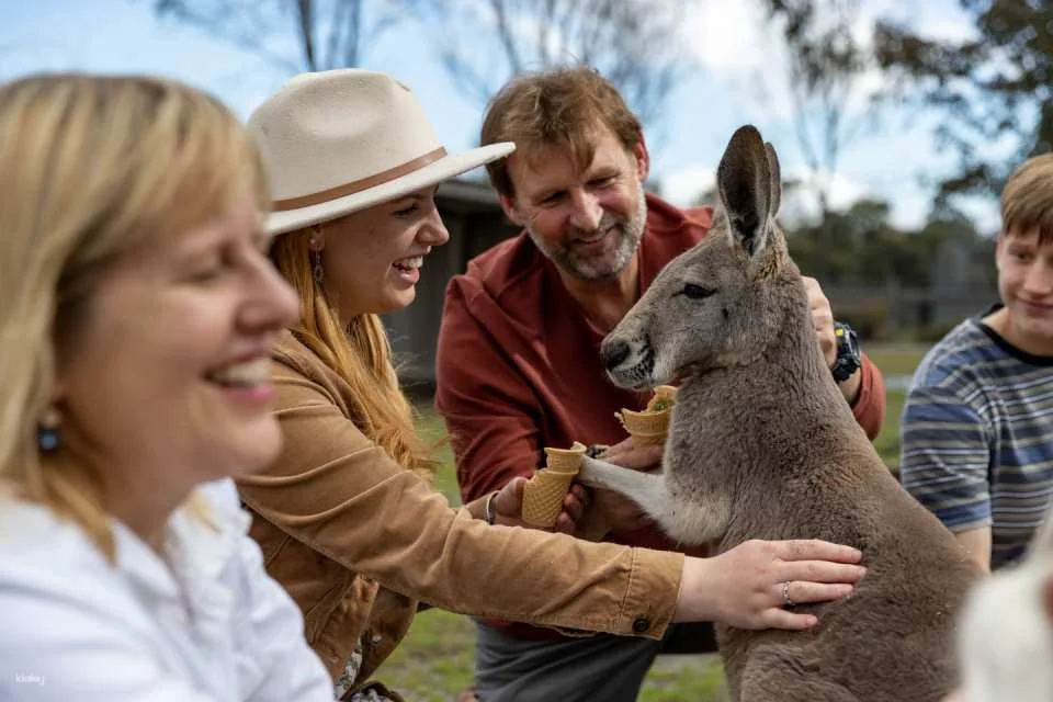 Hunter Valley Wildlife Park General Admission | Australia