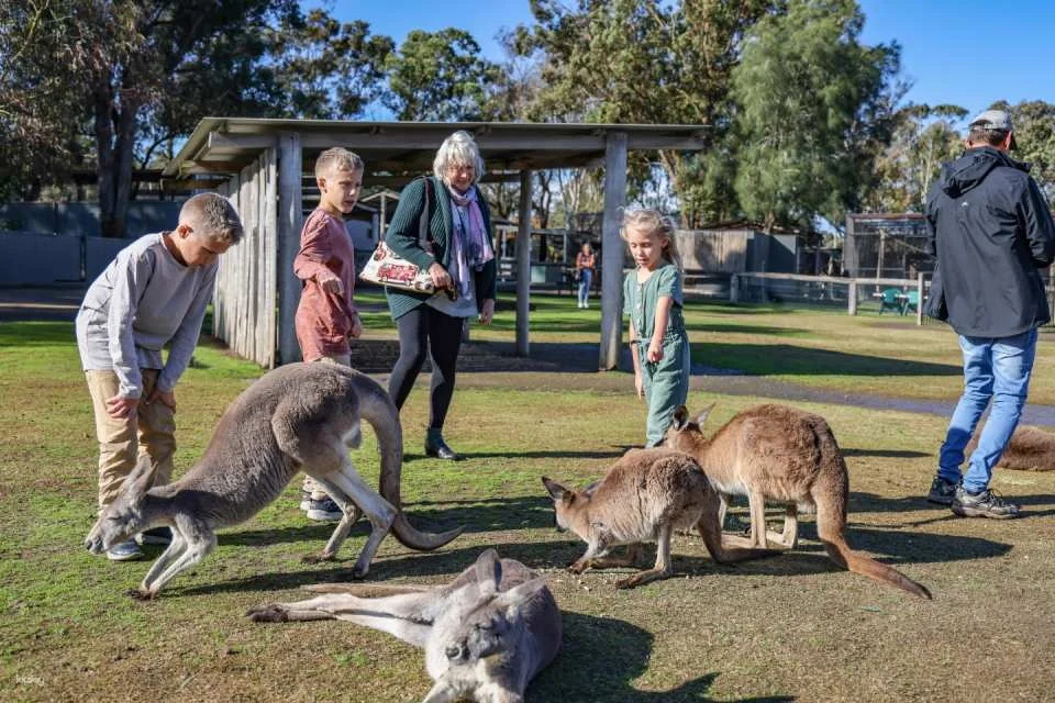 Hunter Valley Wildlife Park General Admission | Australia