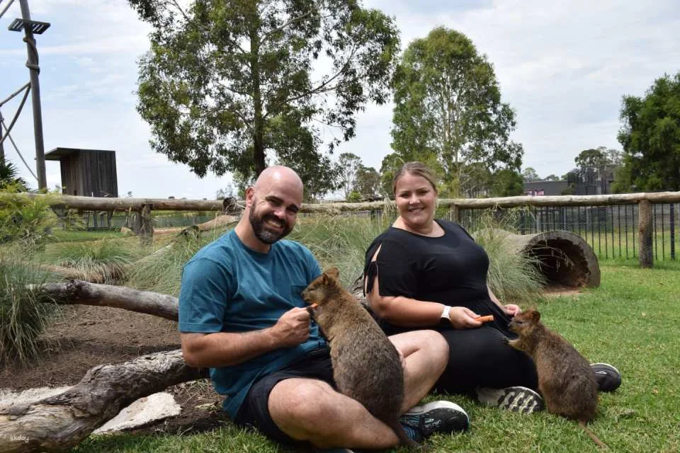 Hunter Valley Wildlife Park General Admission | Australia