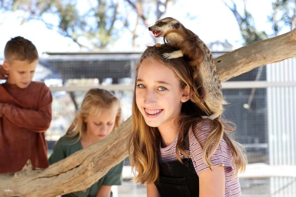 Hunter Valley Wildlife Park General Admission | Australia