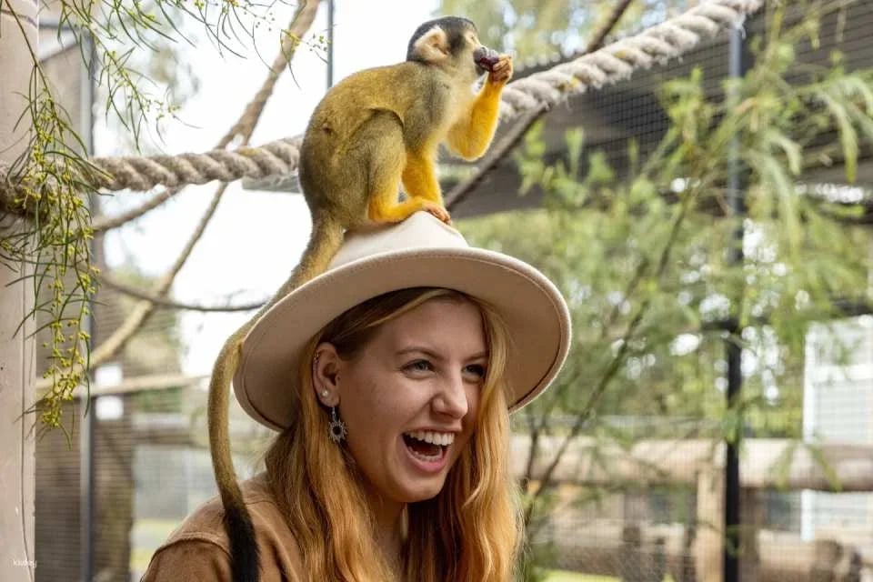 Hunter Valley Wildlife Park General Admission | Australia