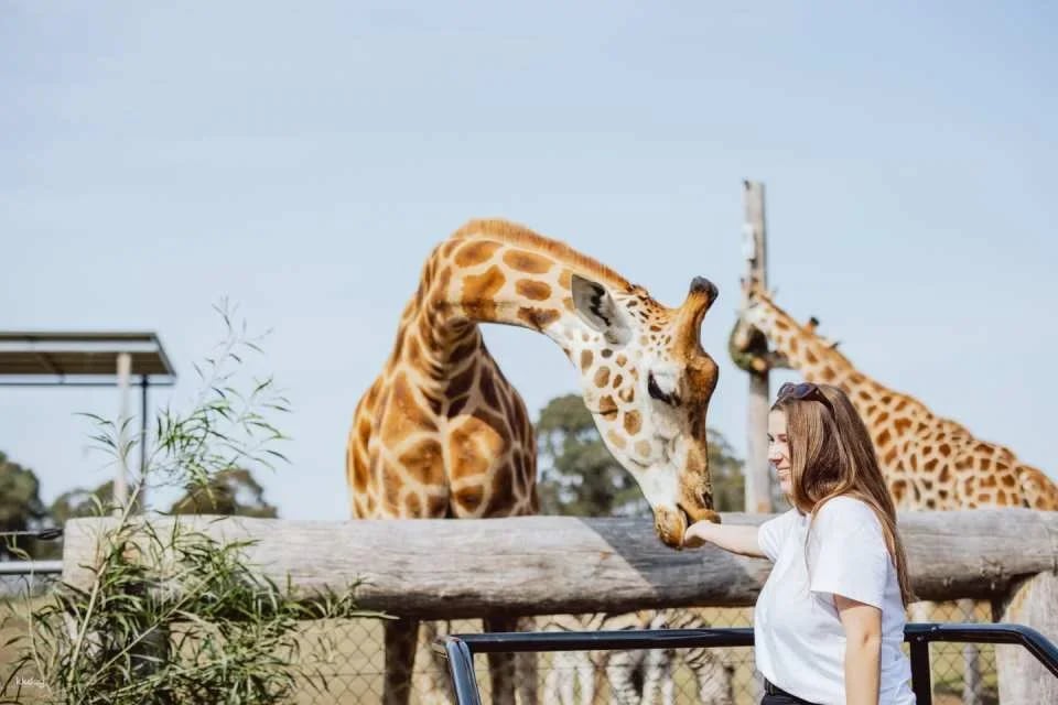 Hunter Valley Wildlife Park General Admission | Australia