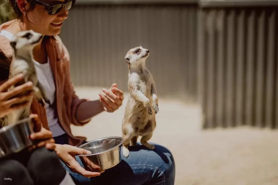 Hunter Valley Wildlife Park General Admission | Australia