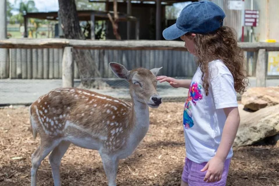 Hunter Valley Wildlife Park General Admission | Australia