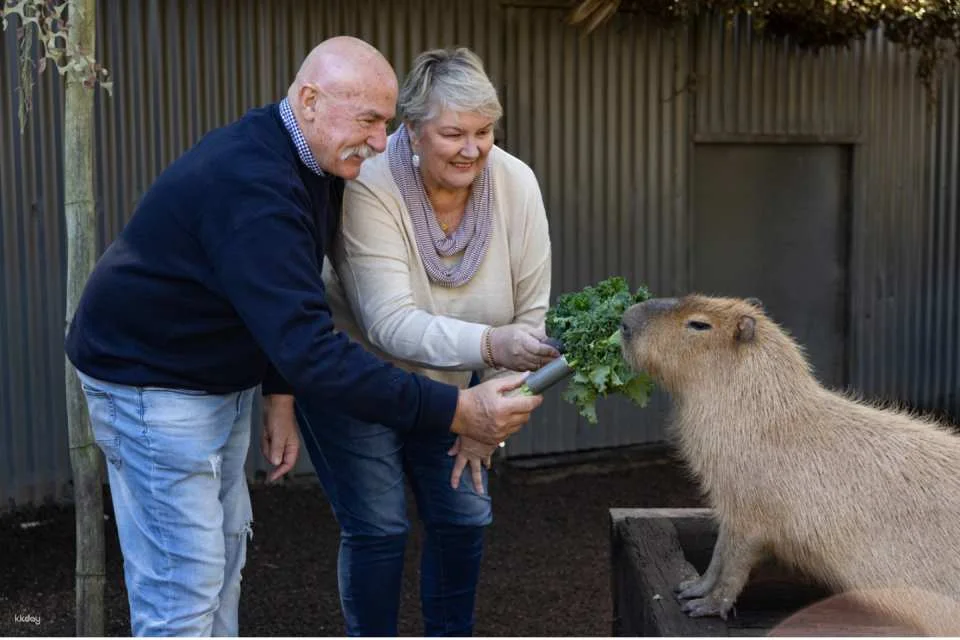 Hunter Valley Wildlife Park General Admission | Australia