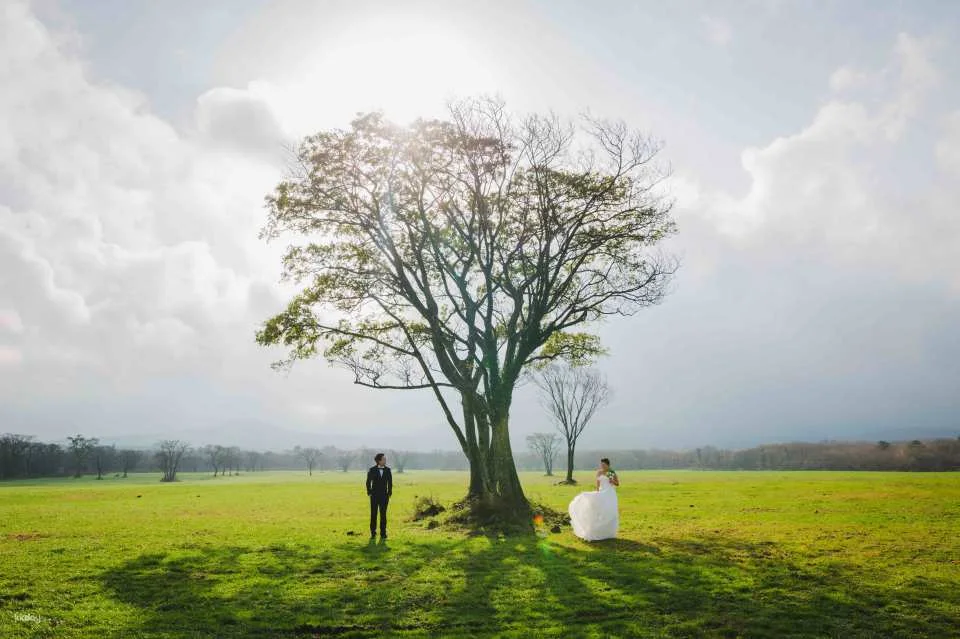 Jeju Outdoor Wedding Photography