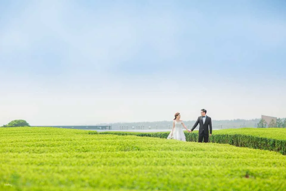 Jeju Outdoor Wedding Photography