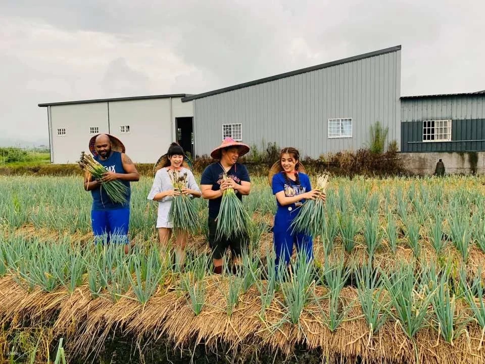Yilan | Scallion Baby Experience Farm | Sanshing scallion Picking and Hands-on Experience