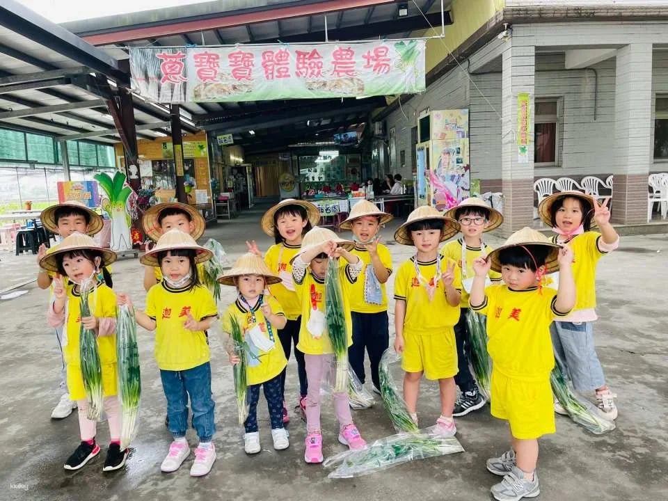 Yilan | Scallion Baby Experience Farm | Sanshing scallion Picking and Hands-on Experience