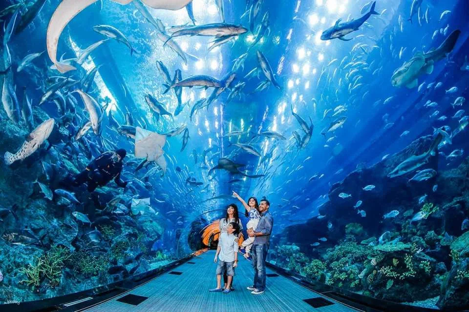 Go City | United Arab Emirates Dubai All-Inclusive Pass