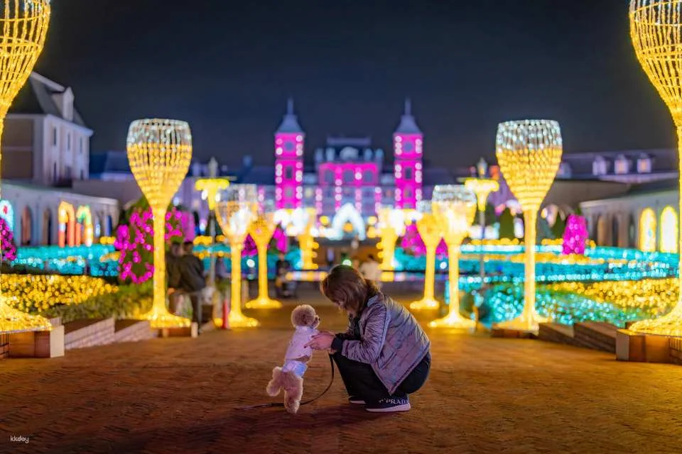 Kobe Illuminage Admission Ticket (Hyogo Prefecture, Illumination)