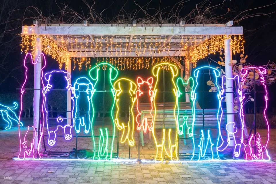 Kobe Illuminage Admission Ticket (Hyogo Prefecture, Illumination)