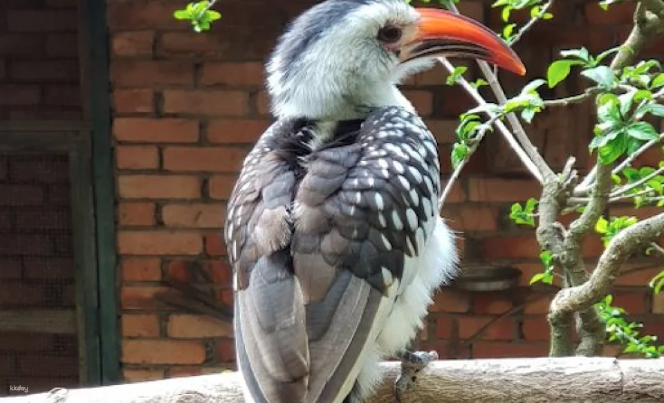 Penang Bird Park Ticket | Malaysia