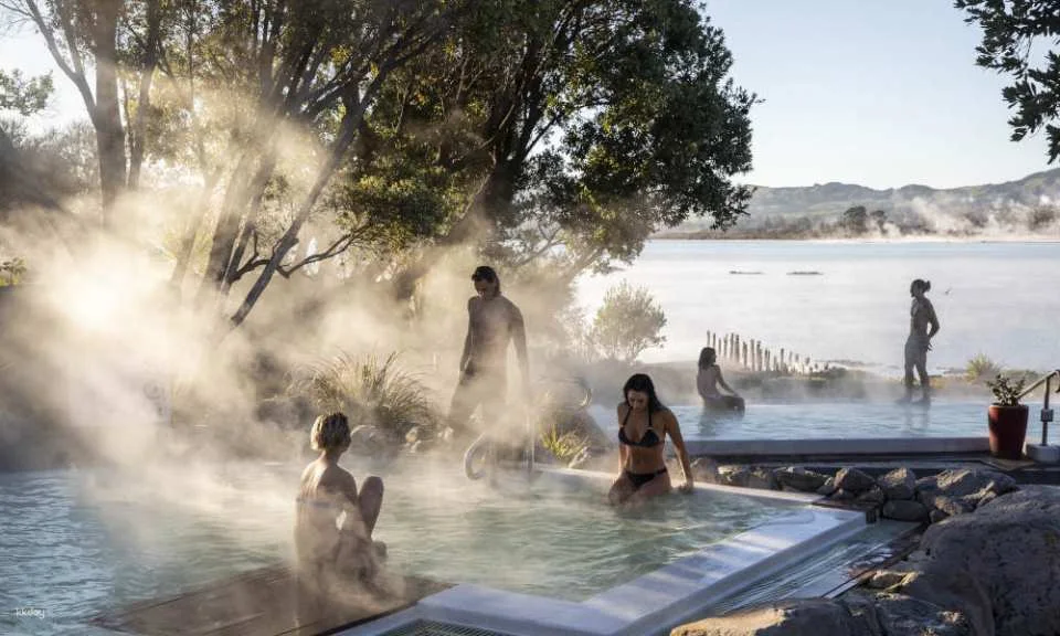 [Nature Sanctuary] Polynesian Spa Experience | Rotorua, New Zealand (123722)