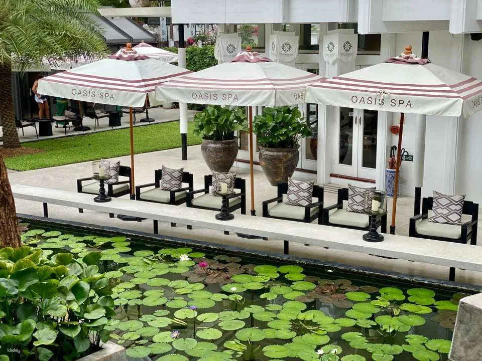 Oasis Spa Massage Experience | Bangkok