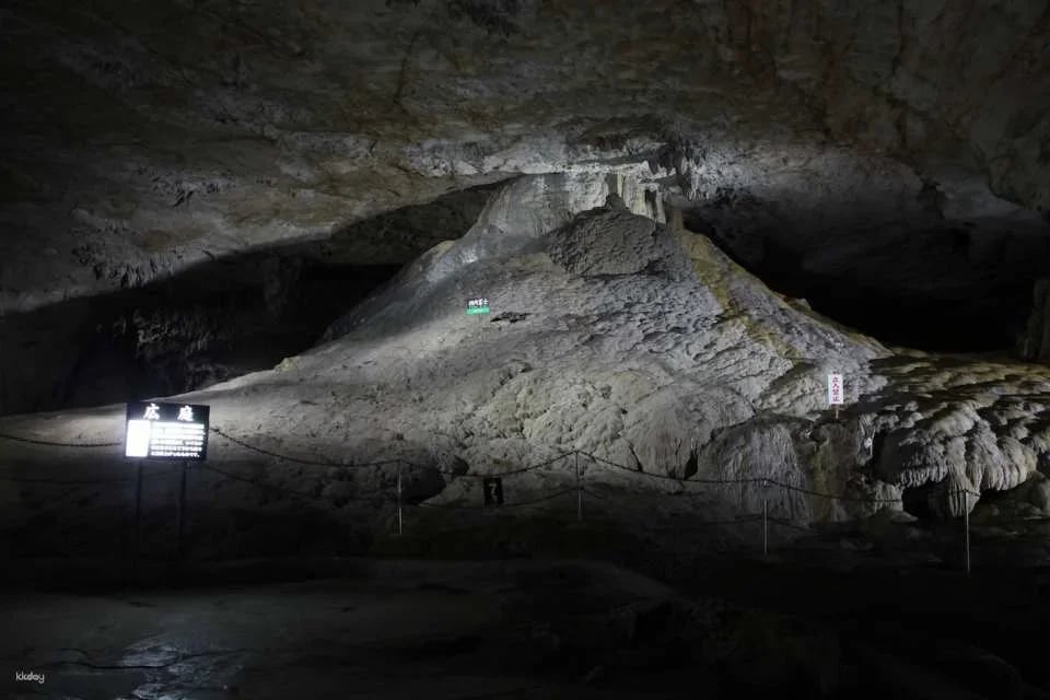 Akiyoshido Stalactite Cave Tour | Yamaguchi