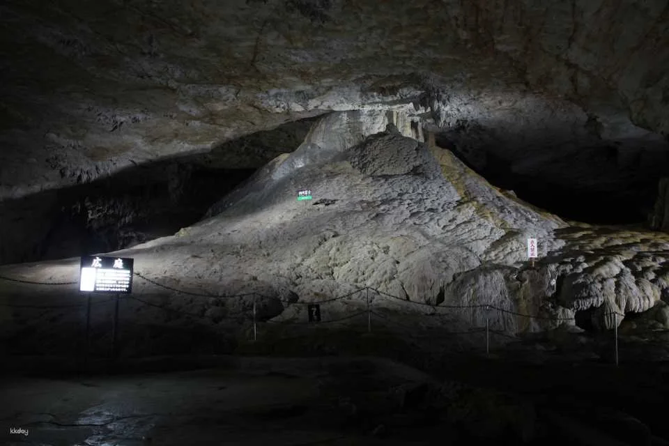 Akiyoshido Stalactite Cave Tour | Yamaguchi