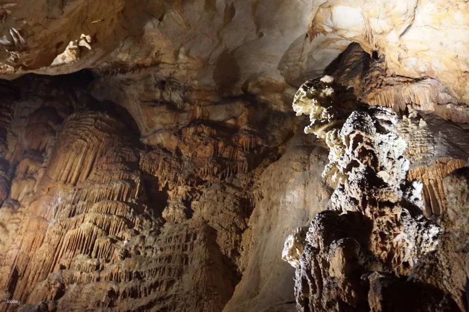 Akiyoshido Stalactite Cave Tour | Yamaguchi