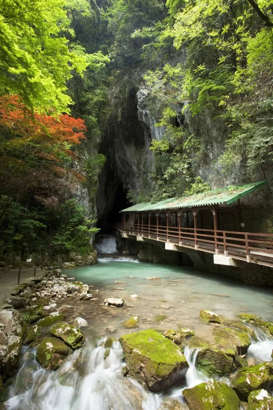 Akiyoshido Stalactite Cave Tour | Yamaguchi