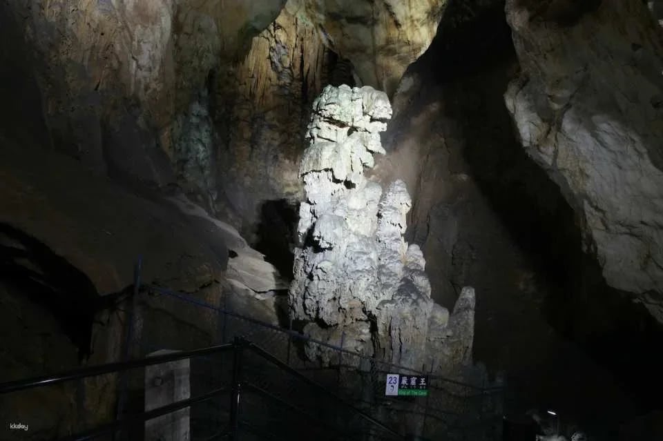 Akiyoshido Stalactite Cave Tour | Yamaguchi