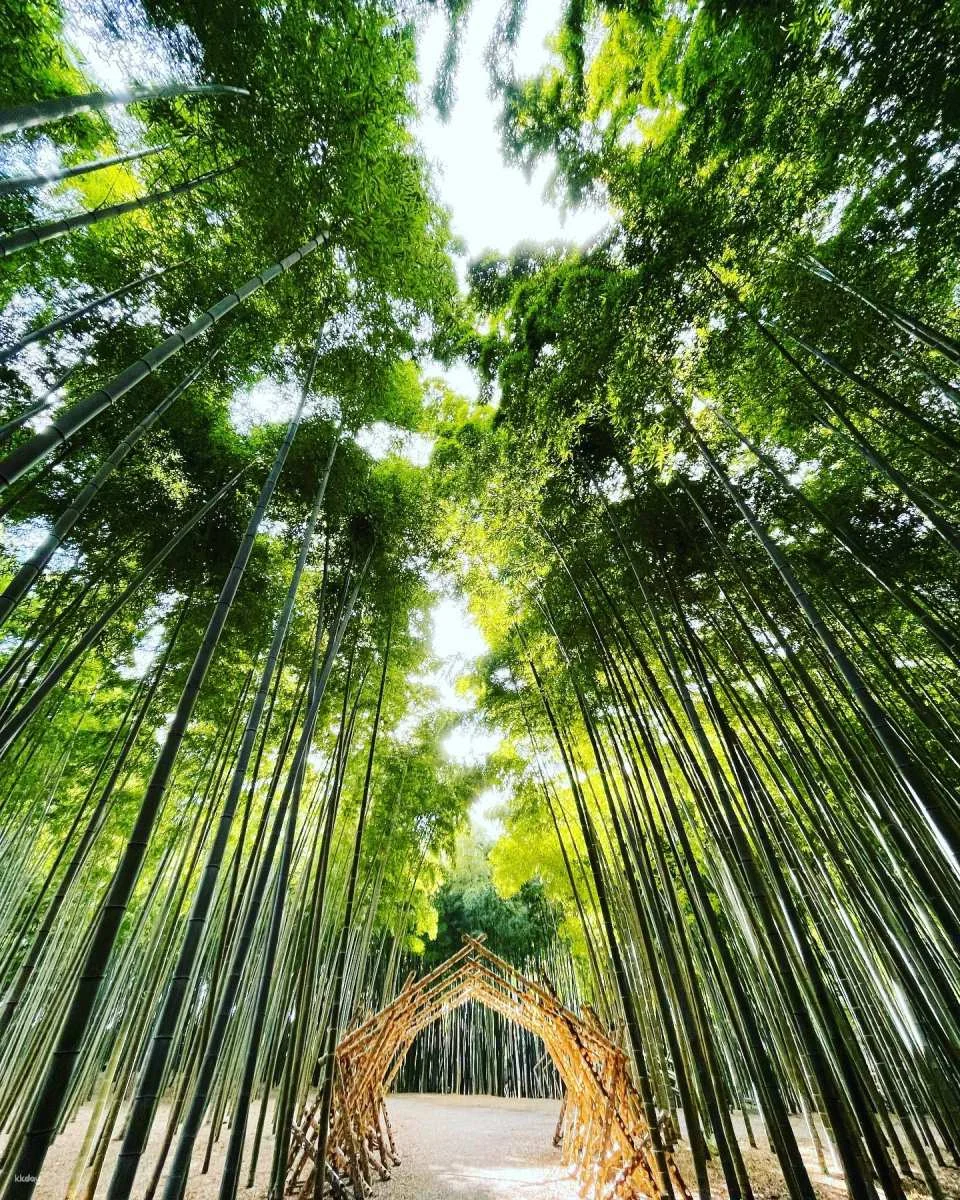 Four Seasons Bamboo Forest Wakayama Farm Ticket | Tochigi