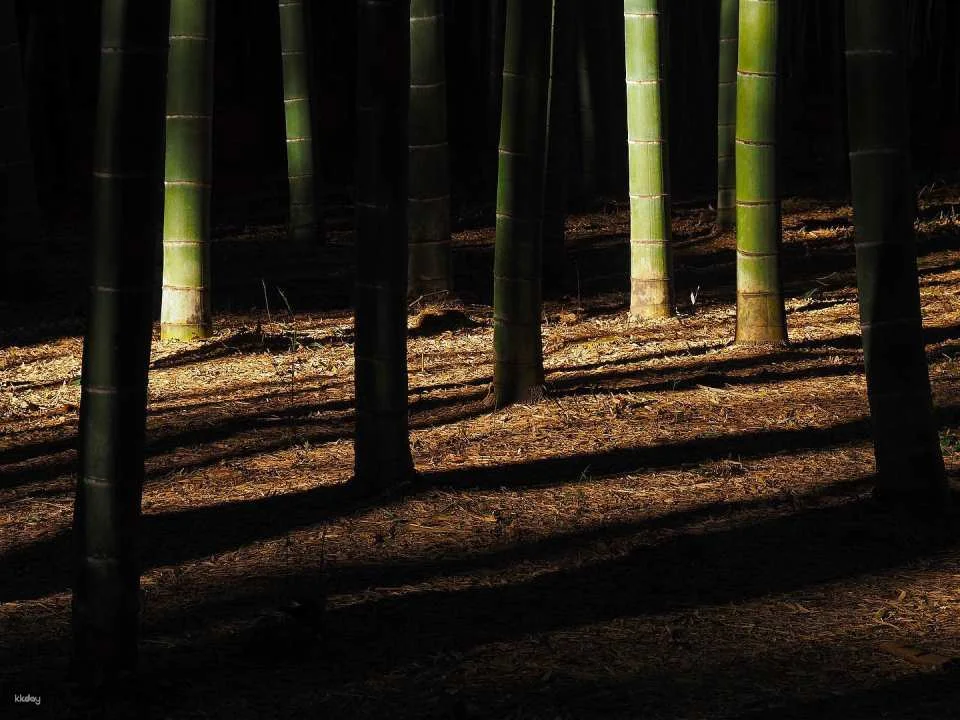 Four Seasons Bamboo Forest Wakayama Farm Ticket | Tochigi