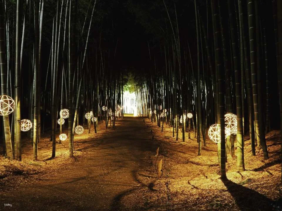 Four Seasons Bamboo Forest Wakayama Farm Ticket | Tochigi