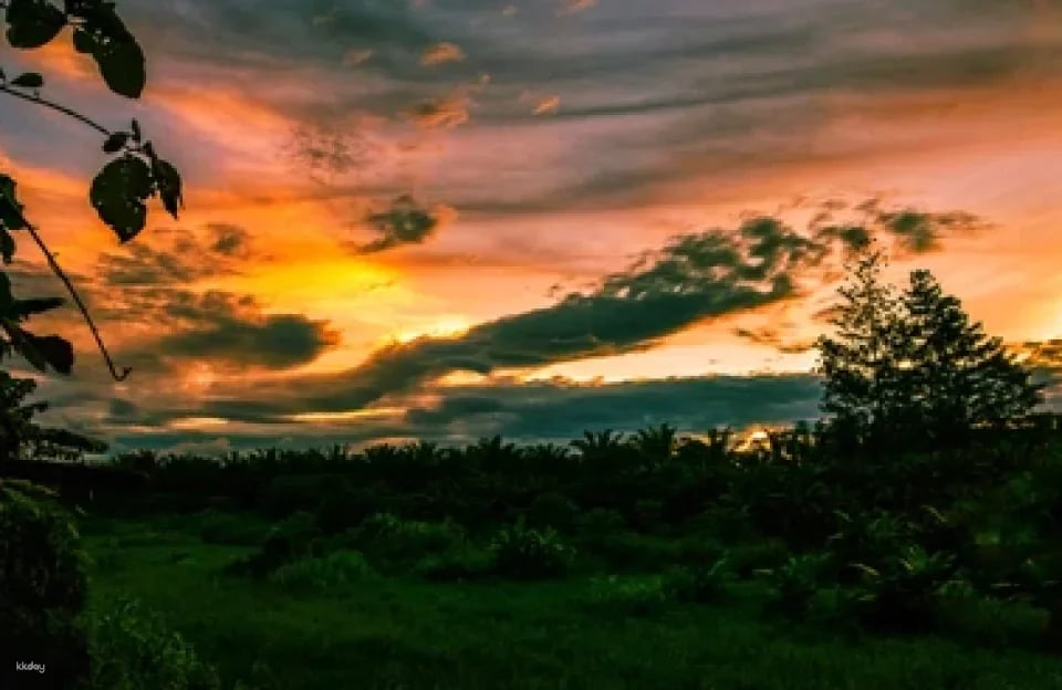 BUSAY MOUNTAIN PANORAMIC SUNSET PRIVATE CHARTER | Cebu