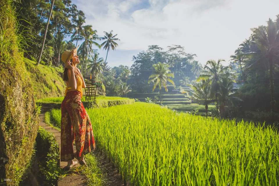 Bali Instagram Tour with Lunch | Gates of Heaven, Tirta Gangga, Mount Agung Views, Jungle Swing & More