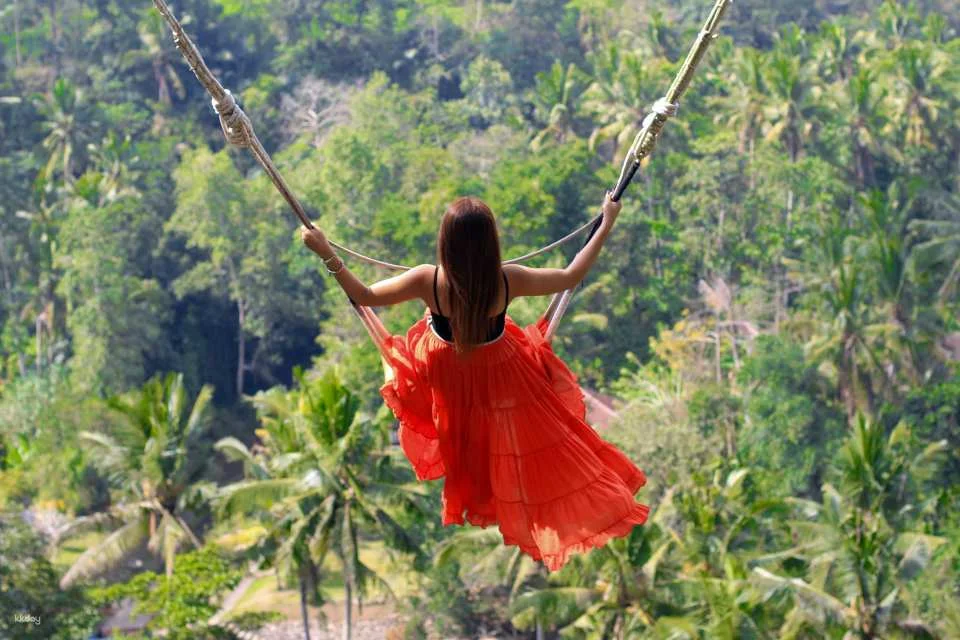 Bali Instagram Tour with Lunch | Gates of Heaven, Tirta Gangga, Mount Agung Views, Jungle Swing & More