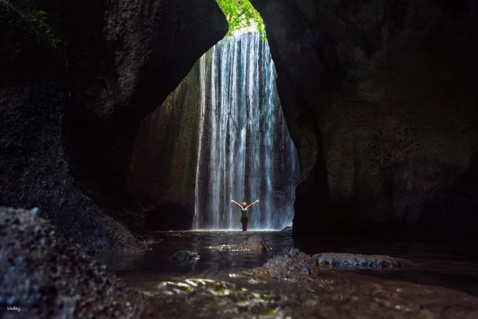 Bali Instagram Tour with Lunch | Gates of Heaven, Tirta Gangga, Mount Agung Views, Jungle Swing & More