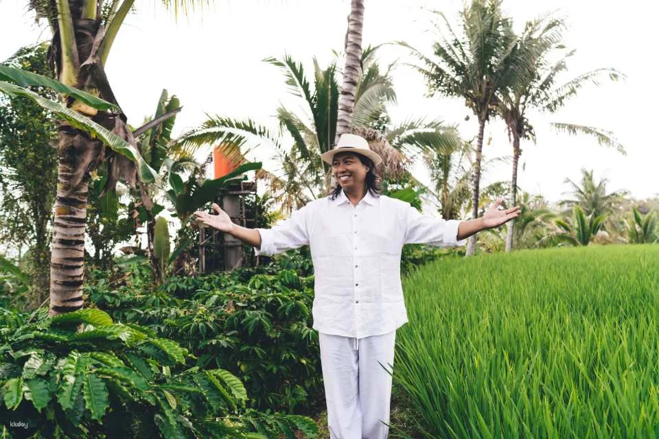 Bali Instagram Tour with Lunch | Gates of Heaven, Tirta Gangga, Mount Agung Views, Jungle Swing & More