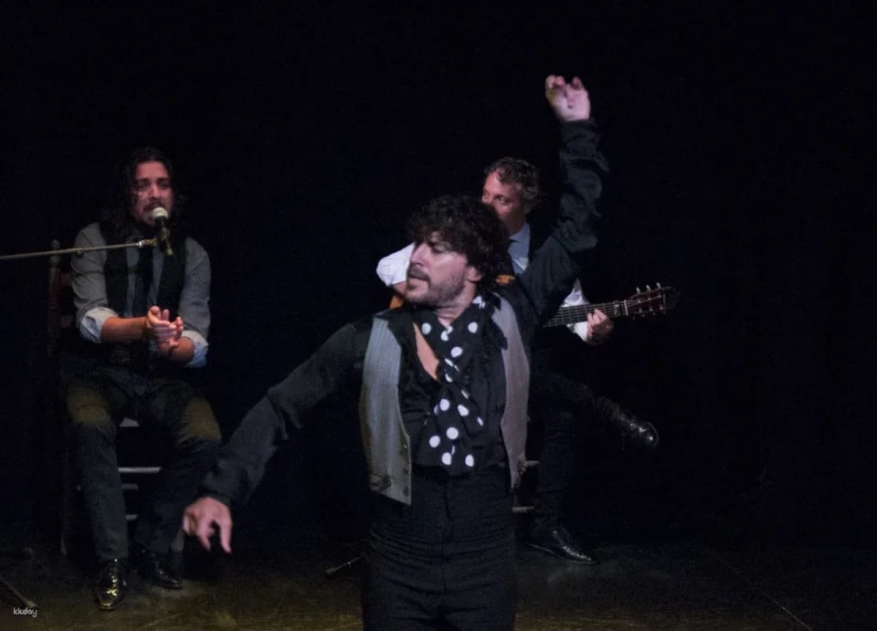 Flamenco Show at Triana Theater