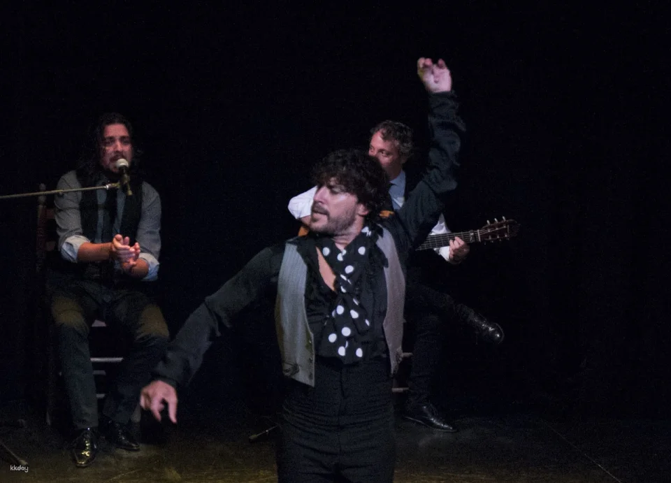 Flamenco Show at Triana Theater