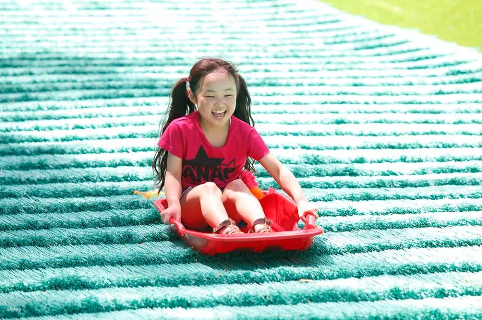 [Official Sales] Fuji Subaru Land One-Day Pass (Fujikawaguchiko Town, Yamanashi Prefecture, Theme Park)
