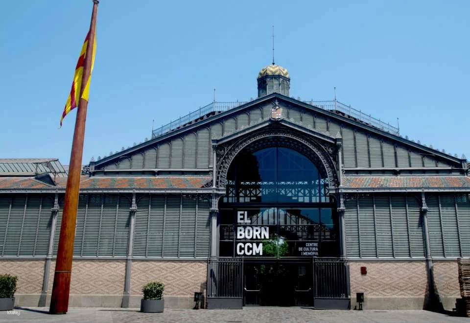 Barcelona | Skip the Line Guided Visit to Picasso Museum & El Born