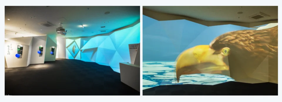 【Official】Okhotsk Ryuhyo Museum Admission Ticket (Abashiri, Hokkaido)