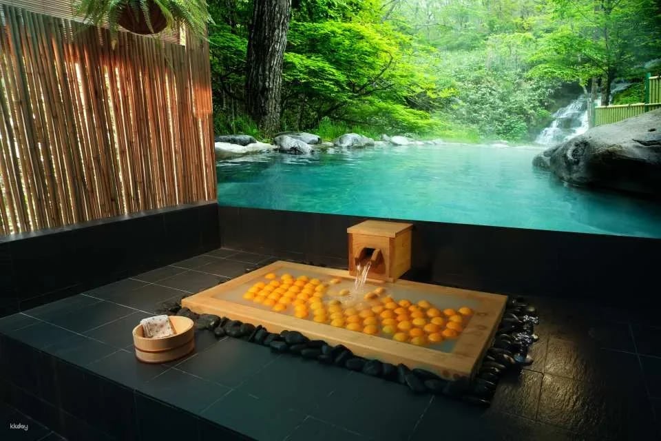 Hinoki Onsen & Ganbanyoku Detox Massage @ Ikeda Spa in Bukit Timah | Experience the Art of Japanese Spa in Singapore