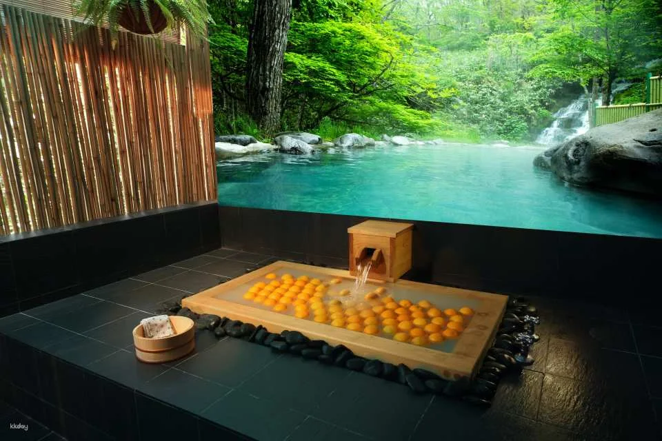 Hinoki Onsen & Ganbanyoku Detox Massage @ Ikeda Spa in Bukit Timah | Experience the Art of Japanese Spa in Singapore