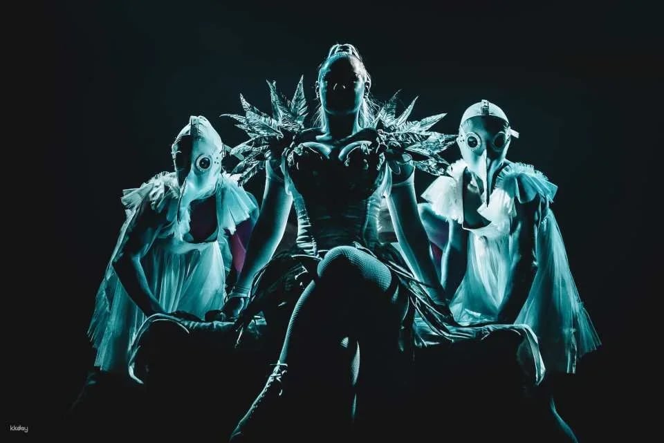 Dracula's Cabaret Dinner & Show | Gold Coast