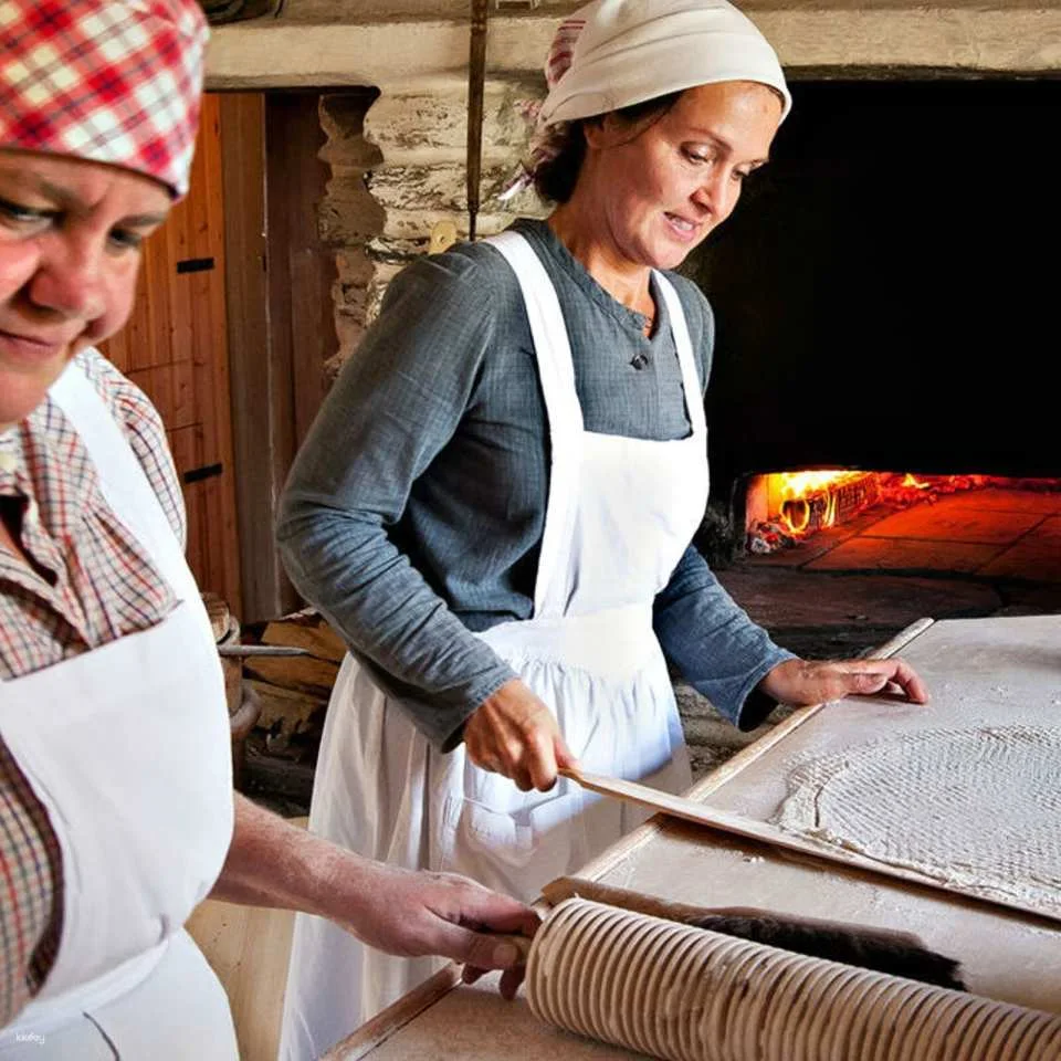 Stockholm | Skansen Open Air Museum Ticket