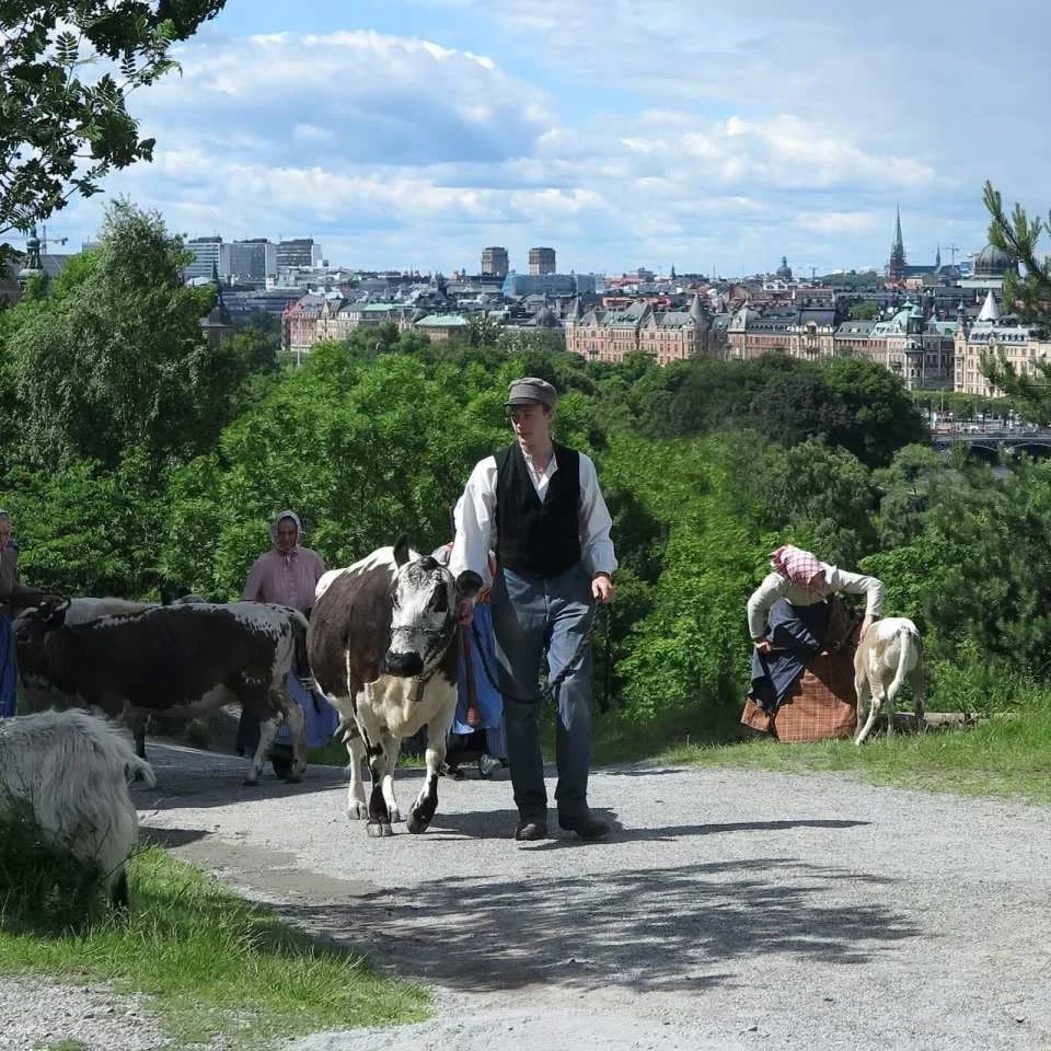 Stockholm | Skansen Open Air Museum Ticket